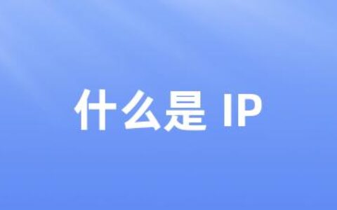 什么是 IP